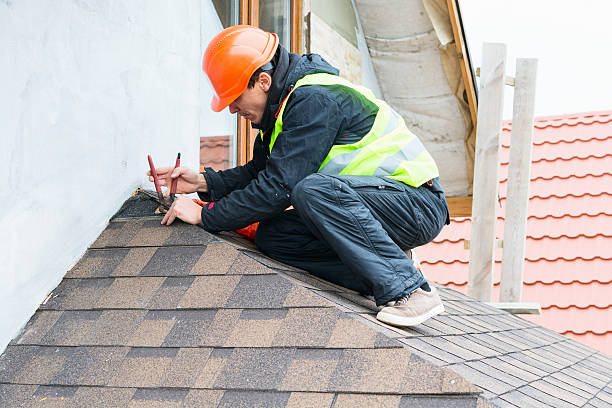 Professional Roofing Contractor in Waterloo, NE